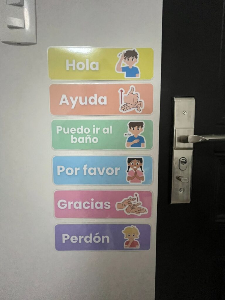 Sistemas de comunicación alternativo y aumentativo usando señas